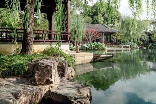 蘇州7個小眾園林｜0元打卡，人少景美免費游玩攻略